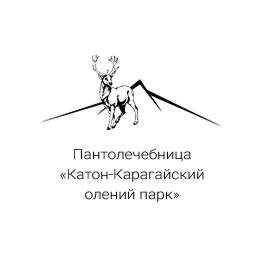 IT компания Proykey-Tech 